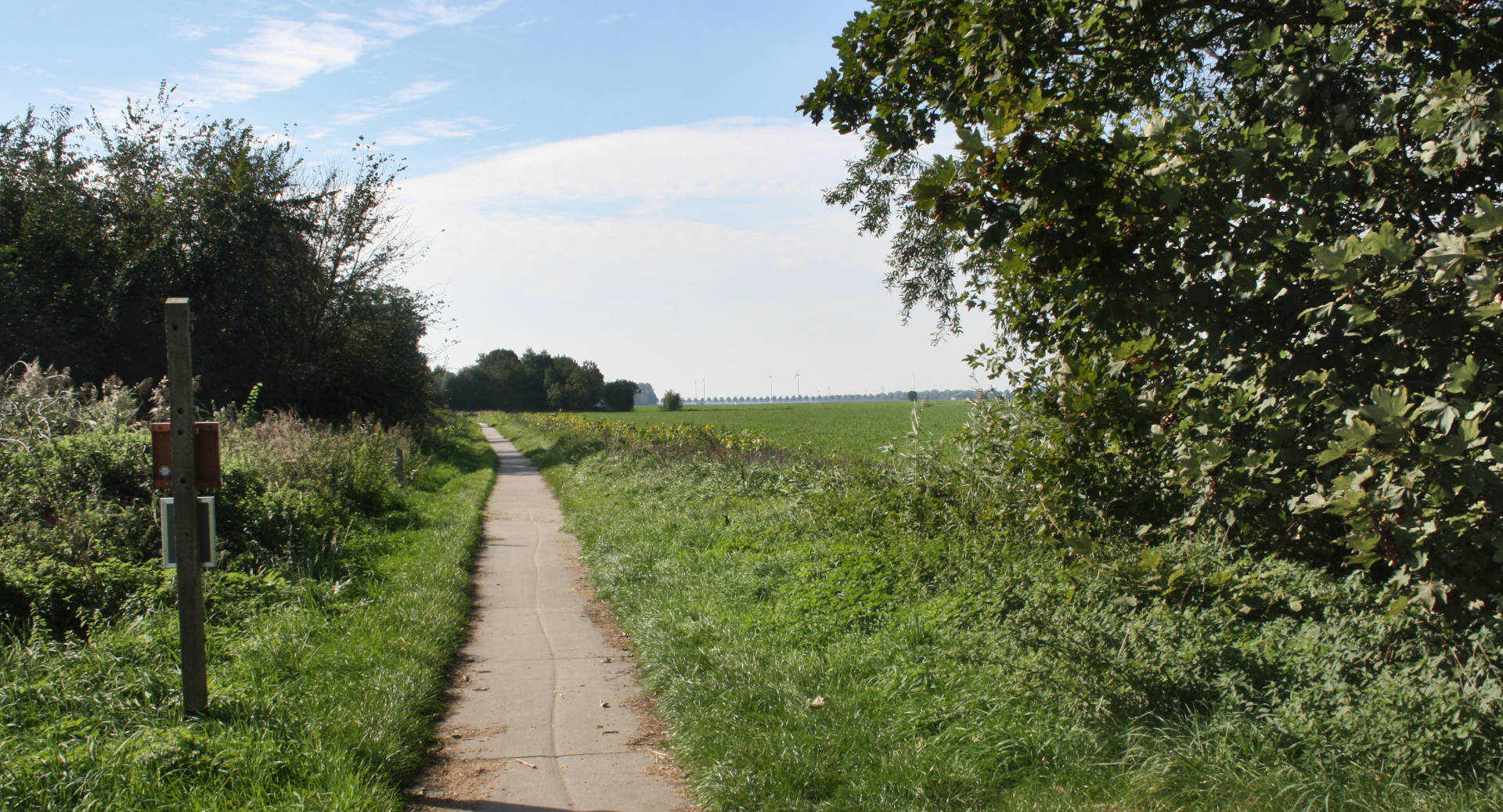 Rustgevende omgeving voor running- en wandeltherapie